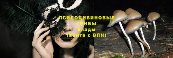 ешки Алексин