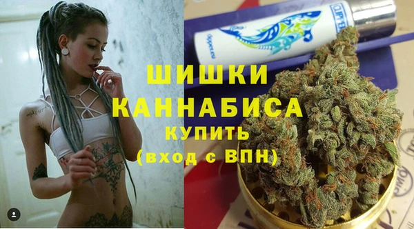 ешки Алексин